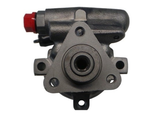 Pompa hidraulica, sistem de directie 53976 SPIDAN