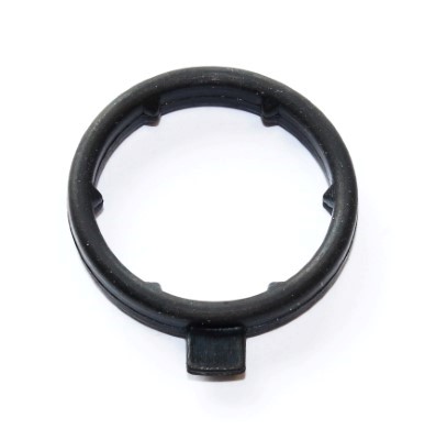 Garnitura, flansa lichid racire 248.230 ELRING