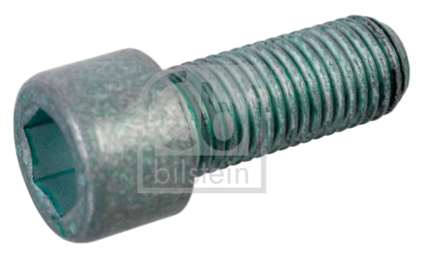 Surub fulie 01202 FEBI BILSTEIN