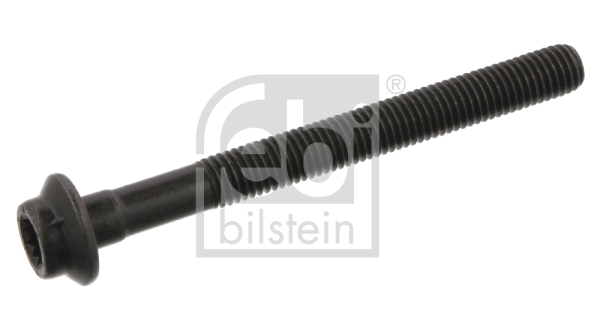 Surub chiulasa 02950 FEBI BILSTEIN