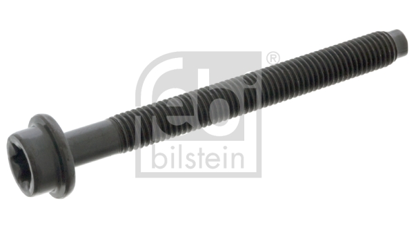 Surub chiulasa 05541 FEBI BILSTEIN