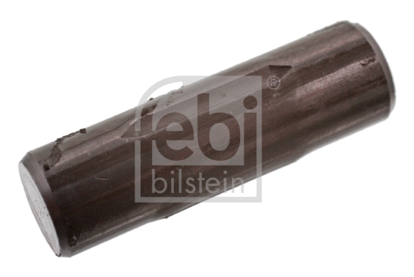 Stift fixare arc, saboti frana 06424 FEBI BILSTEIN