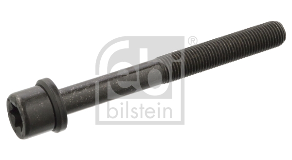 Surub chiulasa 06543 FEBI BILSTEIN