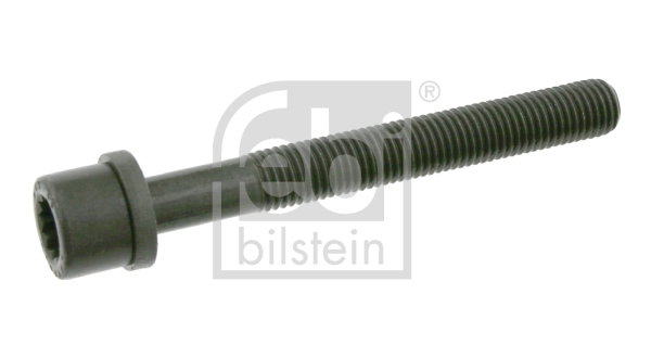 Surub chiulasa 06666 FEBI BILSTEIN