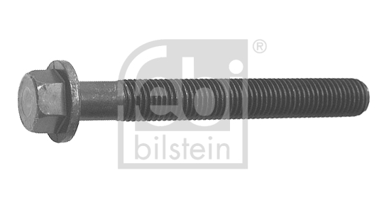 Surub 09796 FEBI BILSTEIN