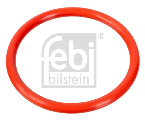 Garnitura, flansa lichid racire 100078 FEBI BILSTEIN