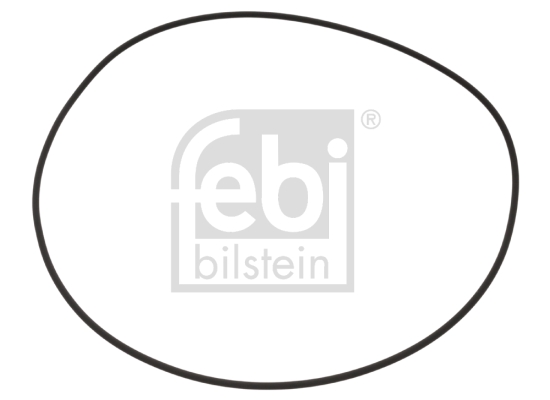 Inel de etansare,butuc roata 100256 FEBI BILSTEIN