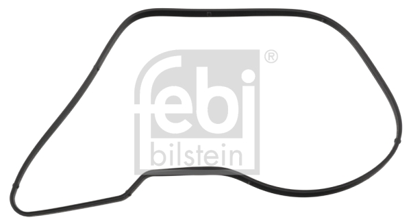 Garnitura, pompa de apa 100576 FEBI BILSTEIN