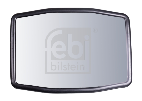 Oglinda exterioara, cabina 101387 FEBI BILSTEIN