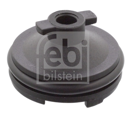 Surub de golire,baia de ulei 106566 FEBI BILSTEIN