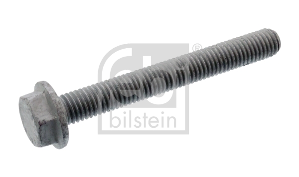 Surub, placa de presiune 107696 FEBI BILSTEIN