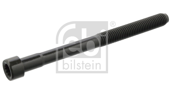 Surub chiulasa 11953 FEBI BILSTEIN