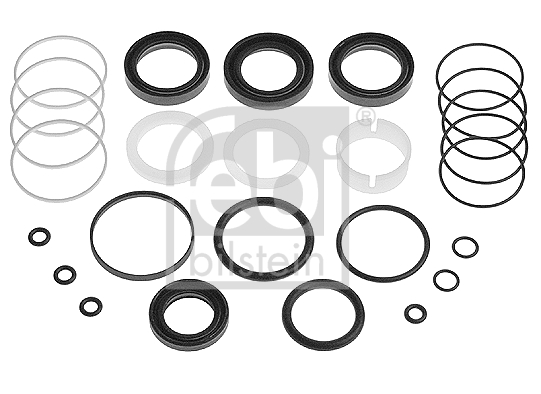 Set garnituri, caracsa directie 12307 FEBI BILSTEIN