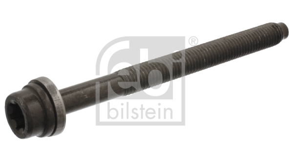 Surub chiulasa 14356 FEBI BILSTEIN