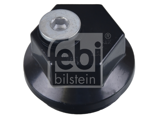 Capac de protectie,butuc roata 172480 FEBI BILSTEIN