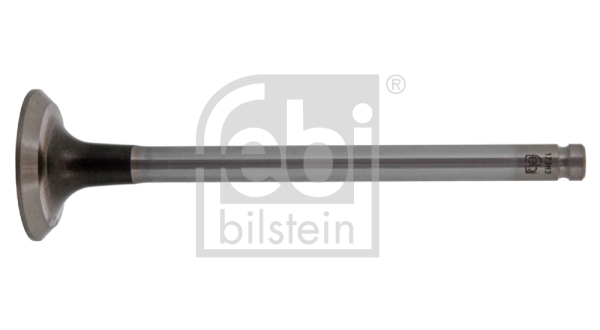 Supapa evacuare 17383 FEBI BILSTEIN