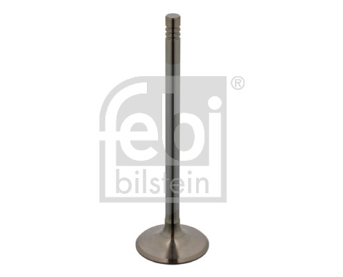 Supapa admisie 17388 FEBI BILSTEIN