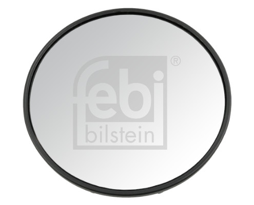 Oglinda fata, cabina sofer 185873 FEBI BILSTEIN