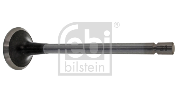 Supapa evacuare 19565 FEBI BILSTEIN