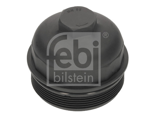 Capac, filtru combustibil 196549 FEBI BILSTEIN