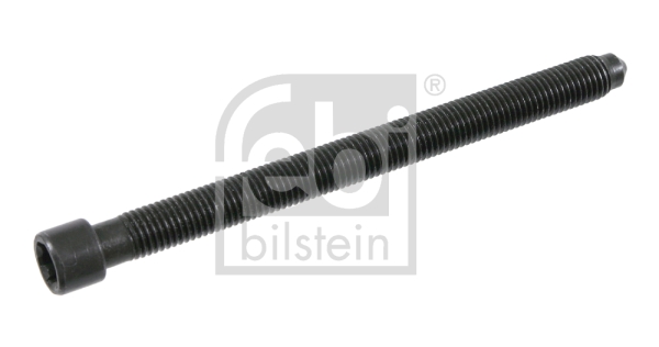 Surub chiulasa 21586 FEBI BILSTEIN