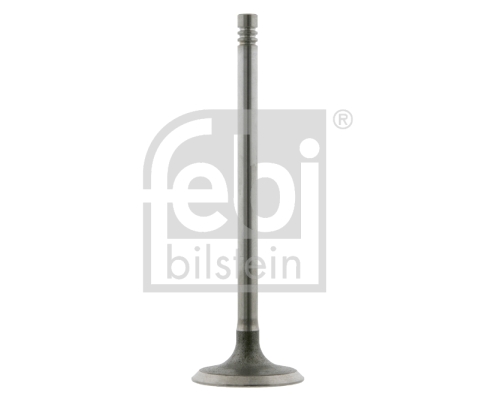 Supapa admisie 24160 FEBI BILSTEIN