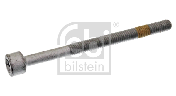 Surub, suport injector 28407 FEBI BILSTEIN