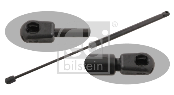 Amortizor portbagaj 29291 FEBI BILSTEIN
