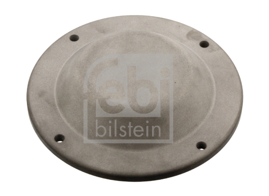 Capac de protectie,butuc roata 35169 FEBI BILSTEIN