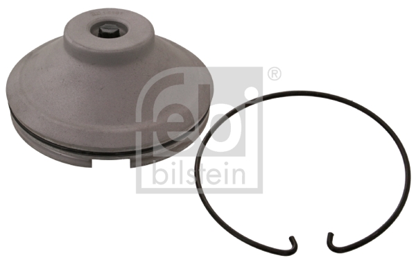 Capac de protectie,butuc roata 35181 FEBI BILSTEIN