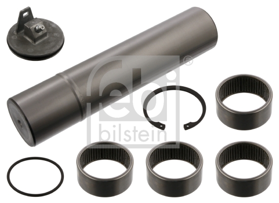 Set reparatie, pivot 35462 FEBI BILSTEIN