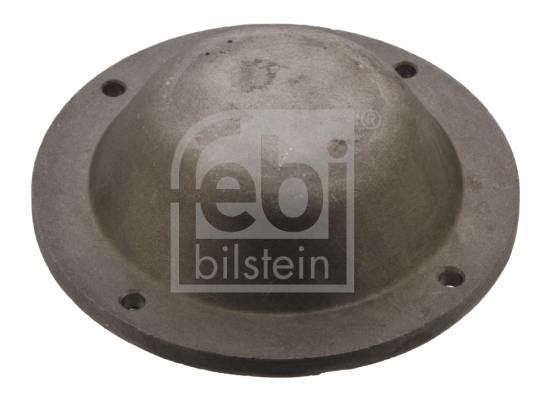 Capac de protectie,butuc roata 43768 FEBI BILSTEIN