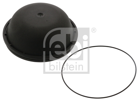 Capac de protectie,butuc roata 46134 FEBI BILSTEIN