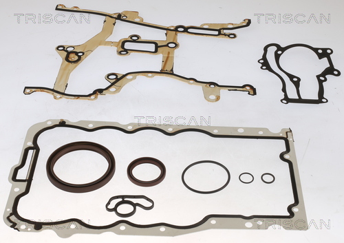 Set garnituri, carter 595-50110 TRISCAN