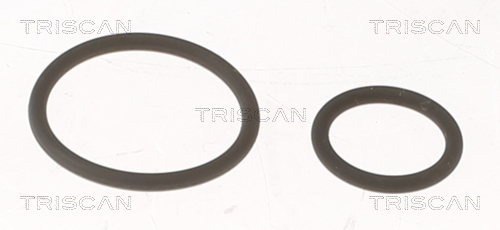 Set garnituri, pompa injectie 596-1001 TRISCAN