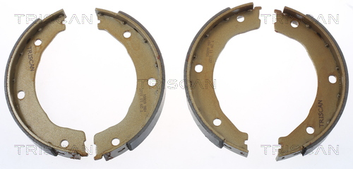 Set saboti frana, frana de mana 8100 10030 TRISCAN