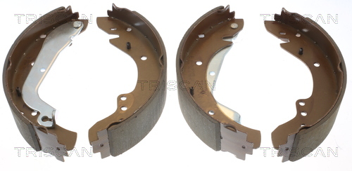 Set saboti frana 8100 10577 TRISCAN