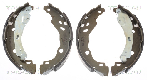 Set saboti frana 8100 10578 TRISCAN