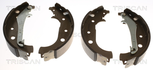 Set saboti frana 8100 16016 TRISCAN