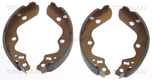 Set saboti frana 8100 69010 TRISCAN