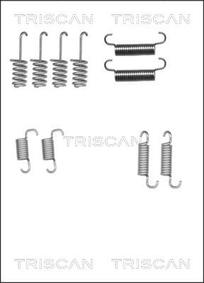 Set accesorii, saboti frana parcare 8105 102616 TRISCAN