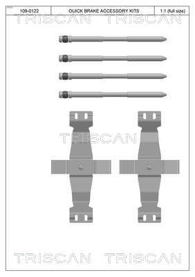 Set accesorii, placute frana 8105 801602 TRISCAN