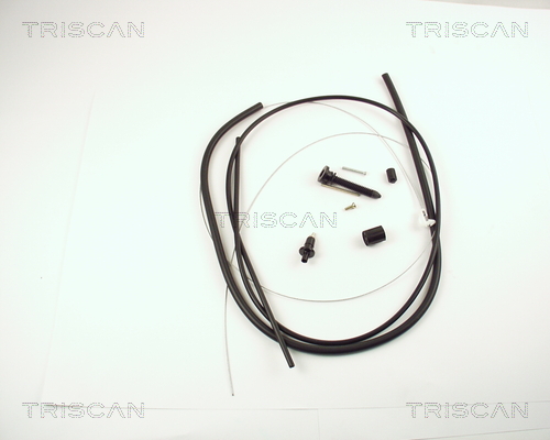 Cablu acceleratie 8140 25324 TRISCAN