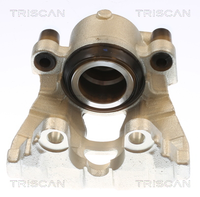 Etrier frana 8175 10132 TRISCAN