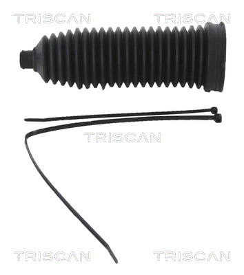 Ansamblu burduf, directie 8500 10038 TRISCAN