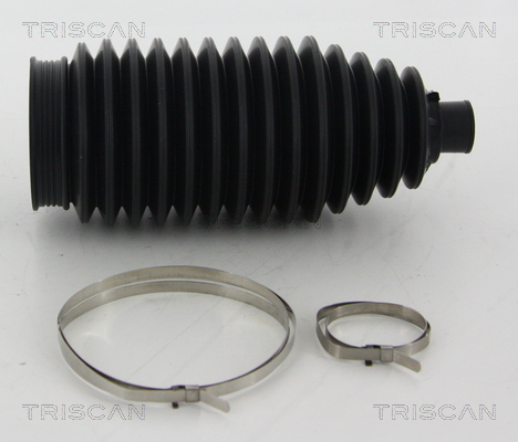 Ansamblu burduf, directie 8500 10049 TRISCAN