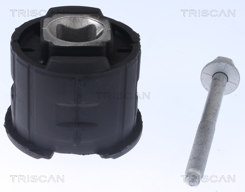 Suport, ax 8500 118022 TRISCAN