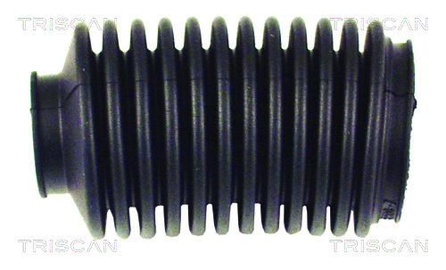 Ansamblu burduf, directie 8500 29050 TRISCAN