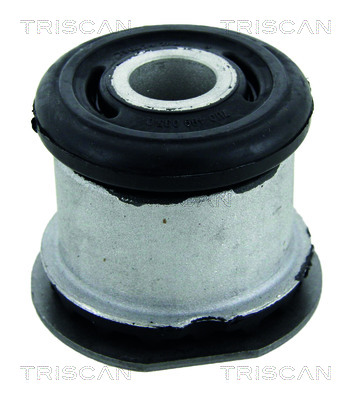 Suport, ax 8500 298005 TRISCAN