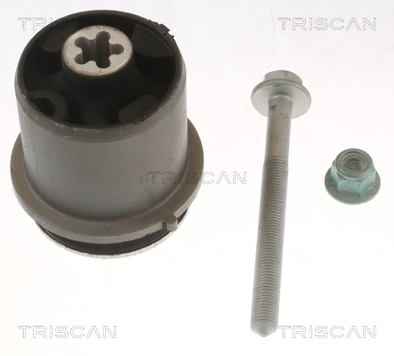 Suport, ax 8500 298077 TRISCAN